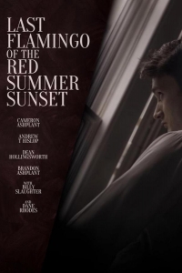  Последний фламинго красного летнего заката 