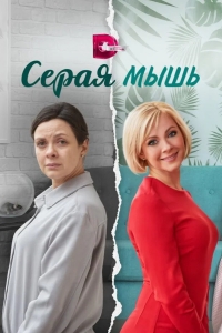  Серая мышь 