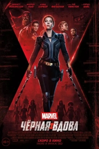  Чёрная Вдова 