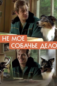  Не моё собачье дело 