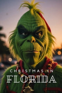  Рождество во Флориде 