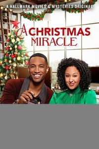  Рождественское чудо 