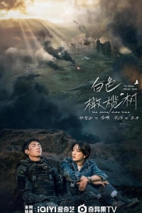  Белое оливковое дерево 