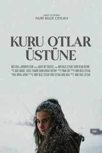  О сухой траве 