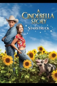  История Золушки: Встреча со звездой 