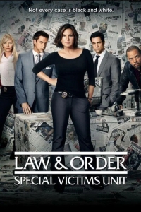  Закон и порядок. Специальный корпус 